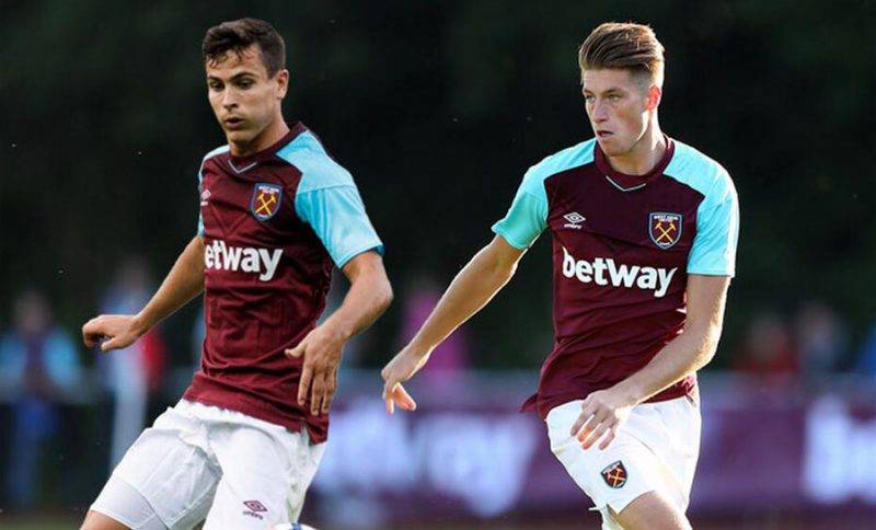 对于小麦来 对于小麦来